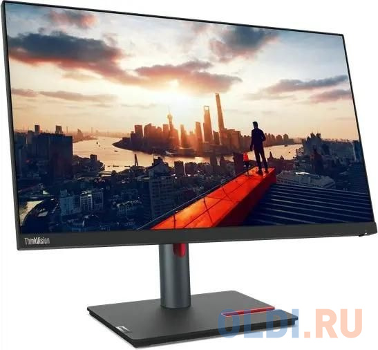 Порты подключения Lenovo ThinkVision P24h-30