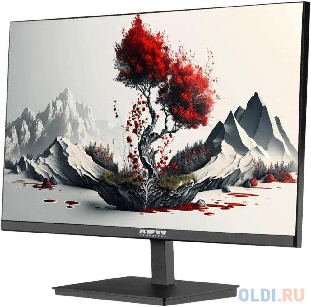 Обзор монитора RDW Computers 2401K/F00И3100V2A1H: российский IPS-дисплей для профессиональных задач