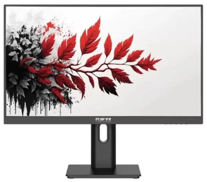 Обзор монитора RDW Computers 2701K/F00B3100V2A1: российское решение для офиса под микроскопом