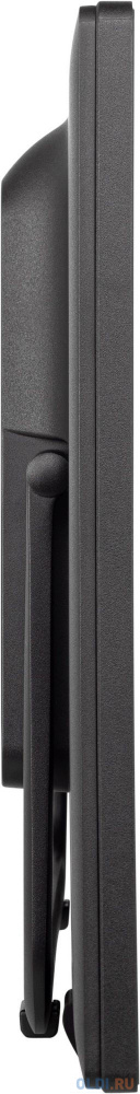 Мультимедийные возможности Iiyama ProLite T2455MSC-B1