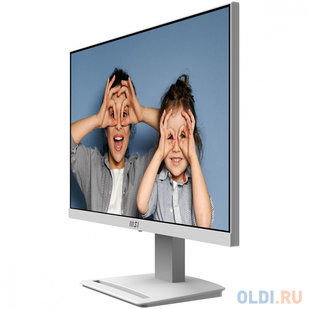 Порты и динамики MSI Pro MP253W