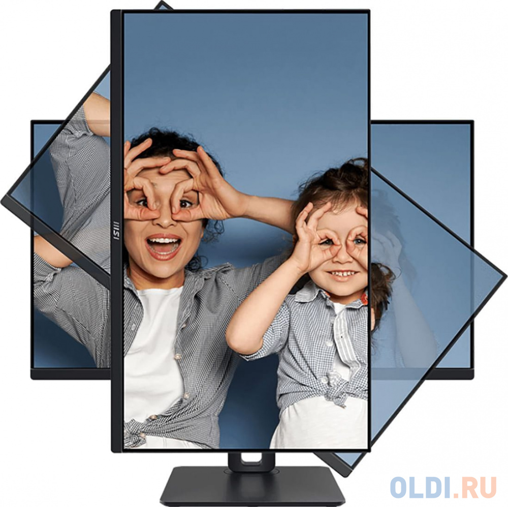 Интерфейсы MSI PRO MP251P