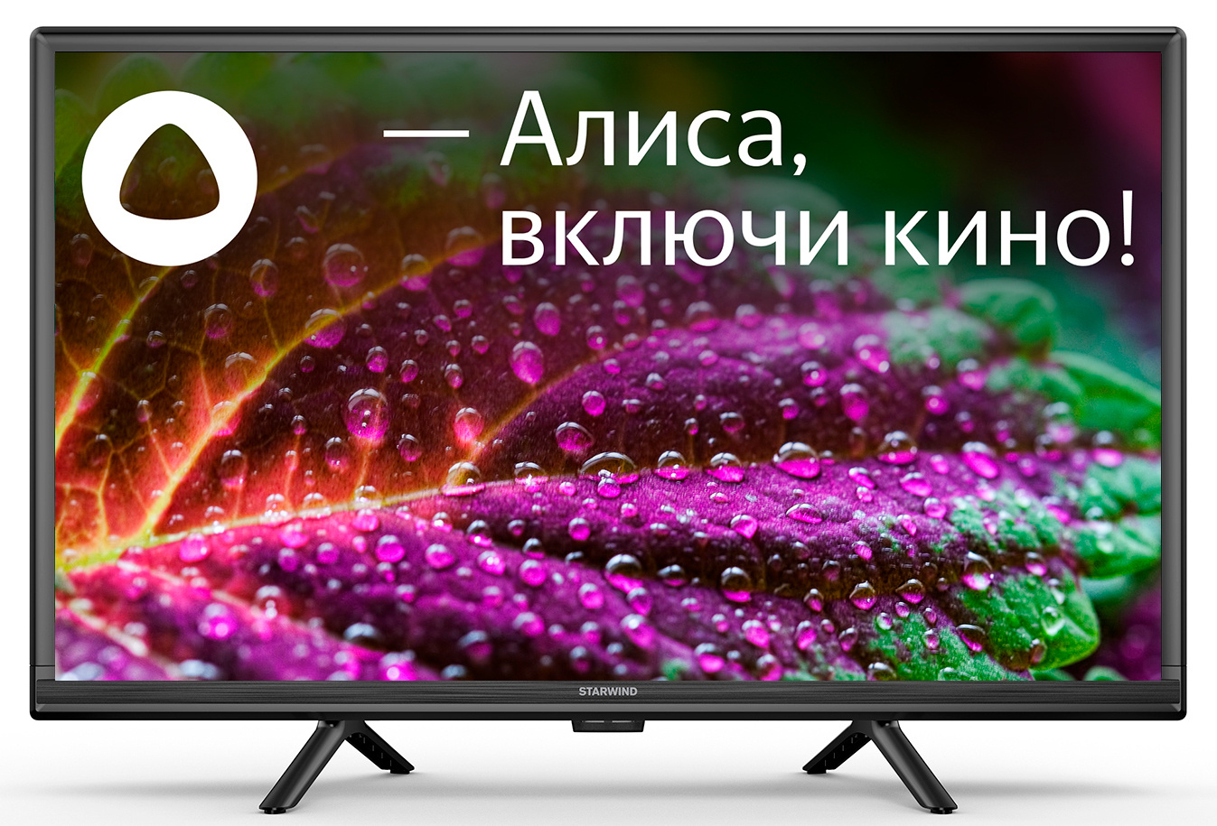 Обзор StarWind SW-LED24SG304: компактный смарт-телевизор с Алисой – идеальное решение для небольших помещений
