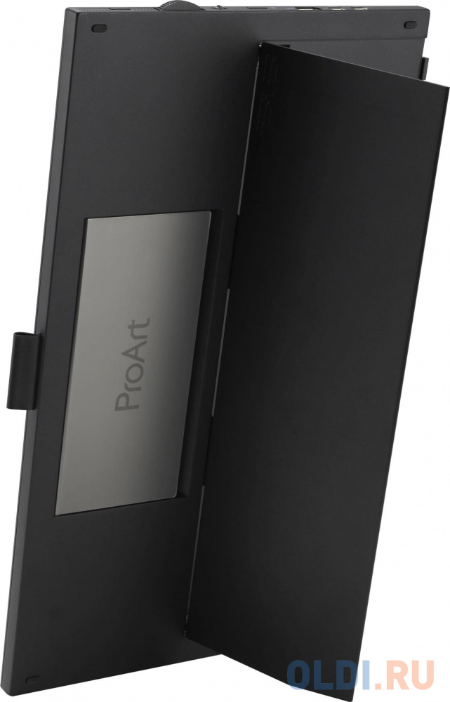 ASUS ProArt PA169CDV в чехле
