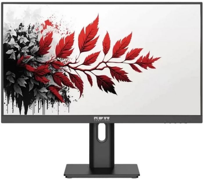 Обзор RDW Computers 2701K/Q03В3100V2A1H: российский 27-дюймовый QHD IPS-монитор с USB-хабом и полноценной эргономикой для офиса
