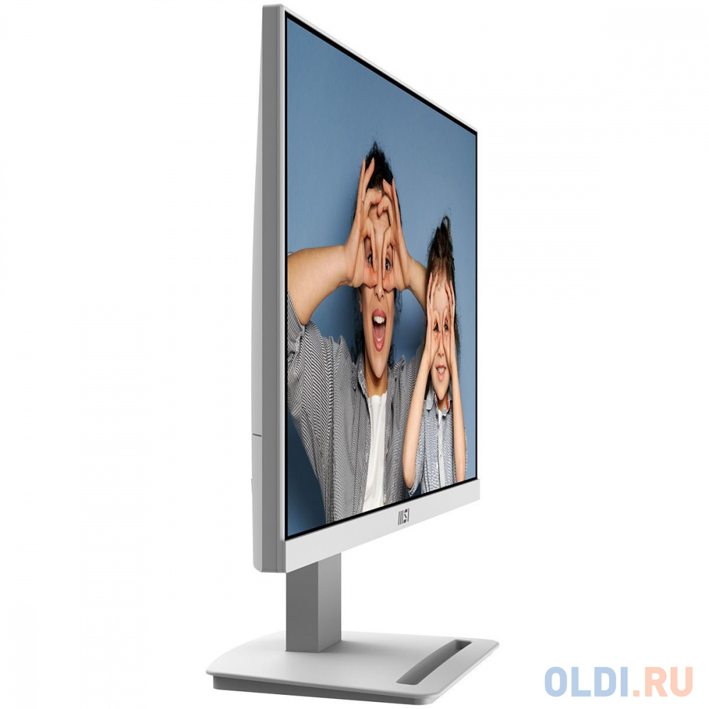 Динамическое изображение MSI Pro MP253W