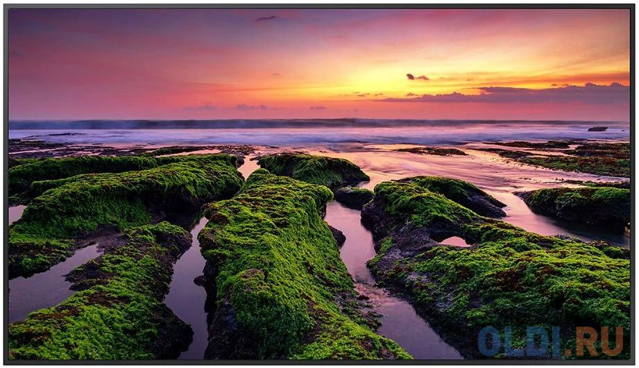 Обзор Samsung LH75QBBEBGCXCI: профессиональный 75-дюймовый QLED-дисплей для бизнеса