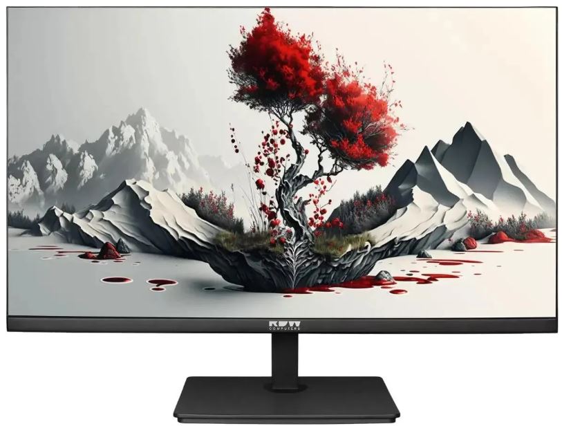 Обзор монитора RDW Computers 2401K/F00В3100V2A1H: российский офисный IPS-дисплей 23.8" с полным набором эргономики