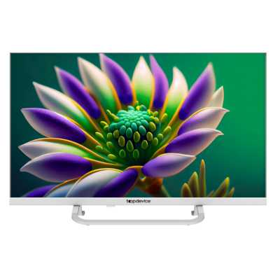 Topdevice TDTV24CS04H_WE задняя панель и разъёмы